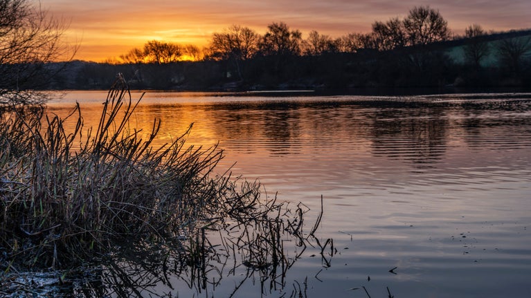 View over still water, the sun is rising beyond the water and the sky is vibrant shades of red and orange. The silhouettes of trees stand on the far side of the water.